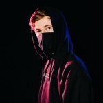 Alan Walker & David Whistle