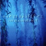Aqualite - Endorphine