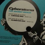 Cyberstorm