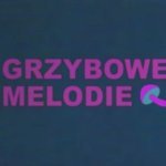 Grzybowe Melodie