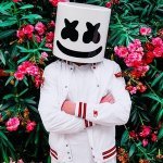 Marshmello & Anne-Marie - FRIENDS