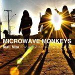 Microwave Monkeys feat. Nita