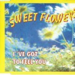 Sweet Flowers - I've Got To Feel You (Extended Mix)